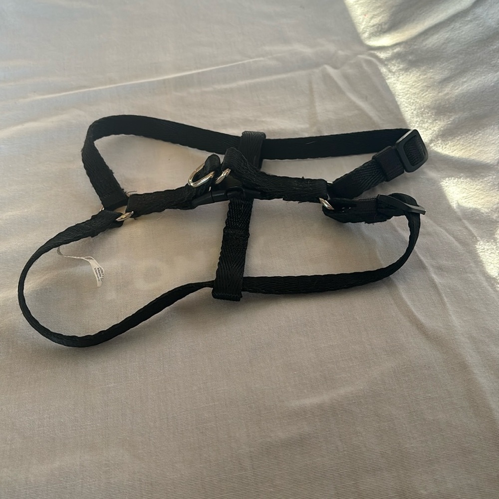 Small black adjustable dog harness.